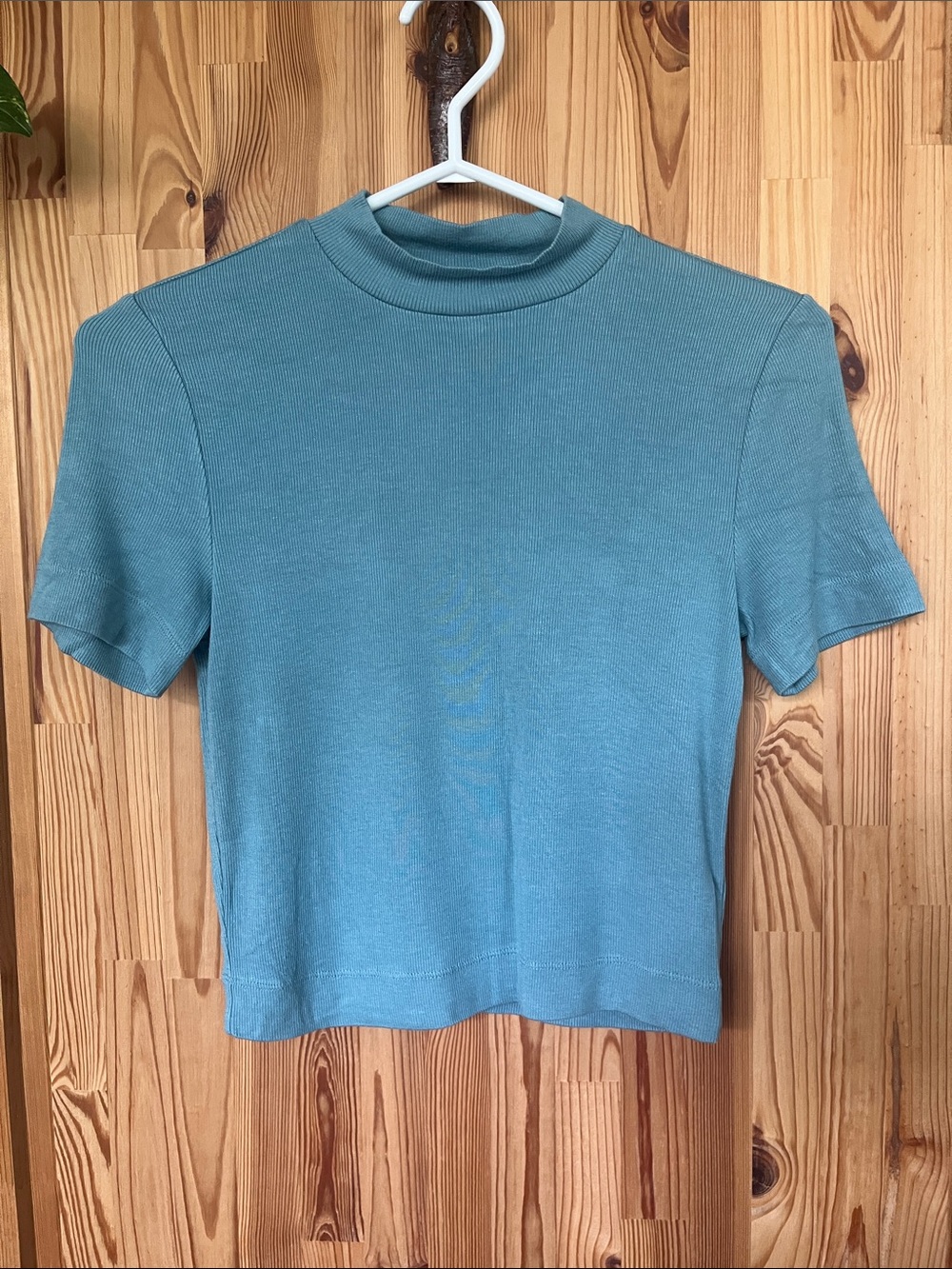 Babaton Mock Neck Aqua Top (size S)